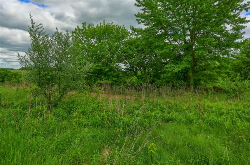 2542 Bridge St — photo 7