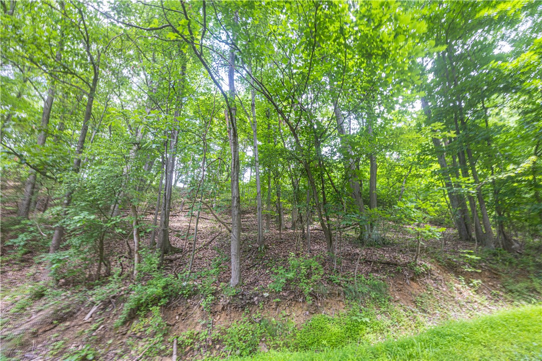 0 Alpine Ln — photo 1