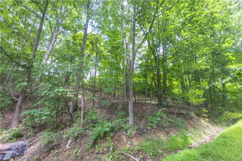 0 Alpine Ln — photo 2