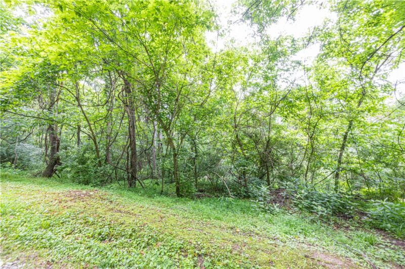 0 Alpine Ln — photo 3