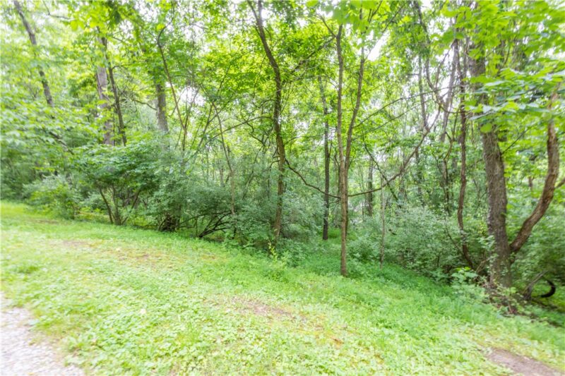 0 Alpine Ln — photo 4