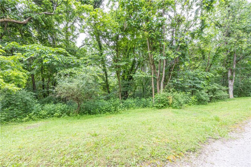 0 Alpine Ln — photo 5