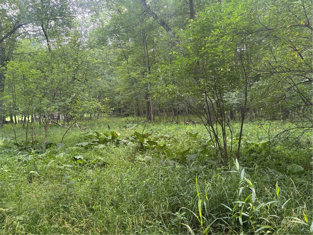Lot #1 Stone Lane — photo 1