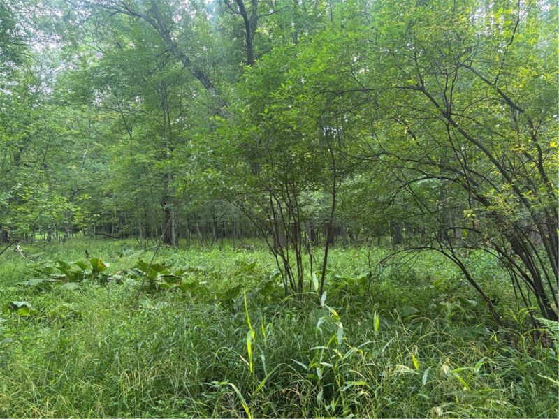 Lot #1 Stone Lane — photo 2