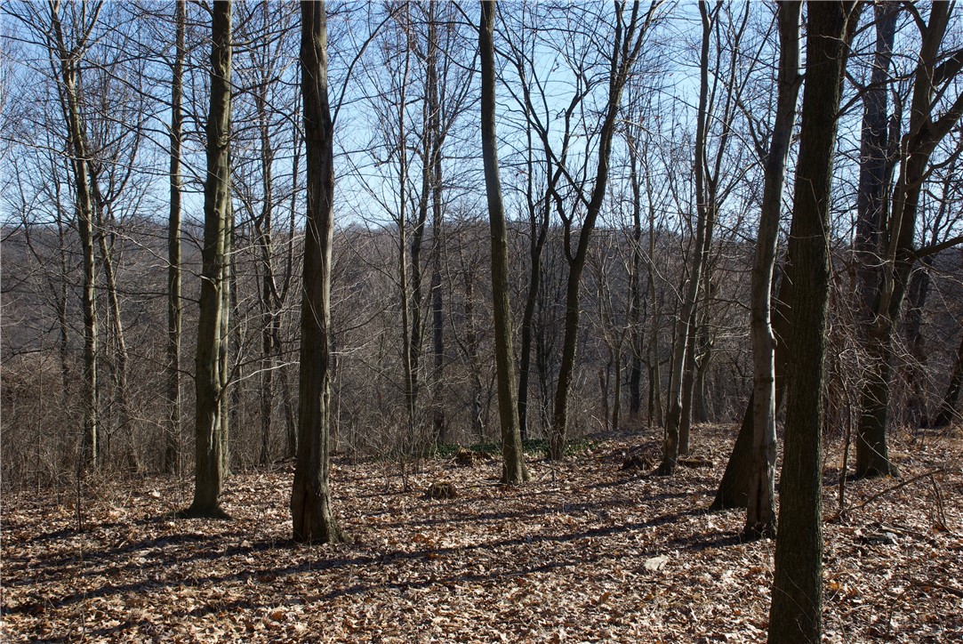 0 Audubon Road — photo 1