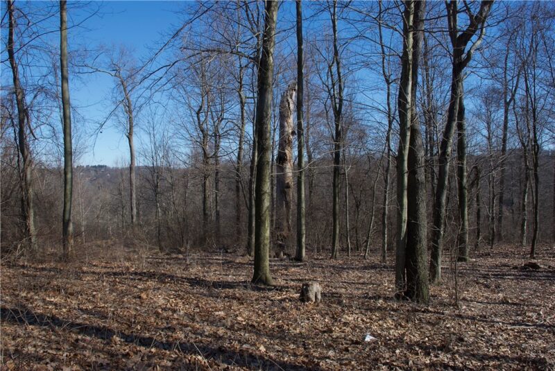 0 Audubon Road — photo 3