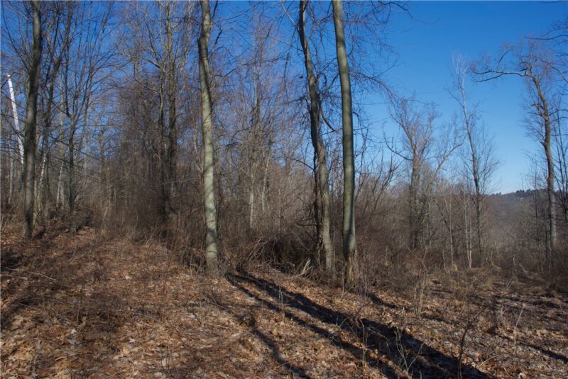 0 Audubon Road — photo 4