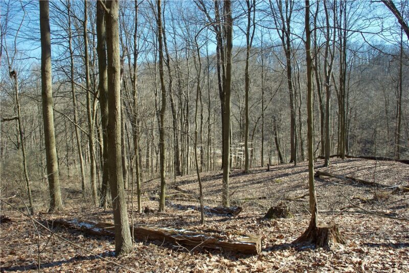 0 Audubon Road — photo 6