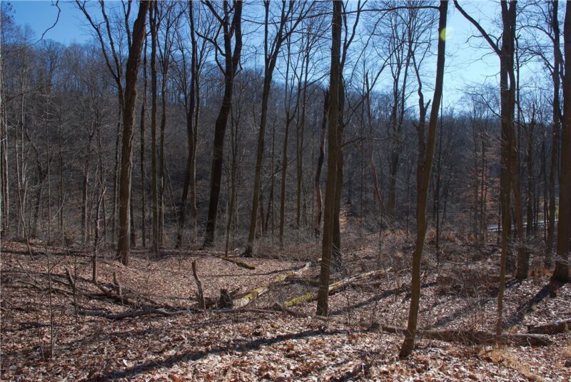 0 Audubon Road — photo 7