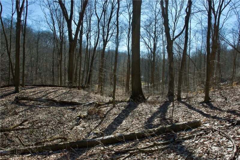 0 Audubon Road — photo 8