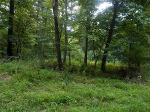 Lots 1&2 Brady's Landing — photo 1