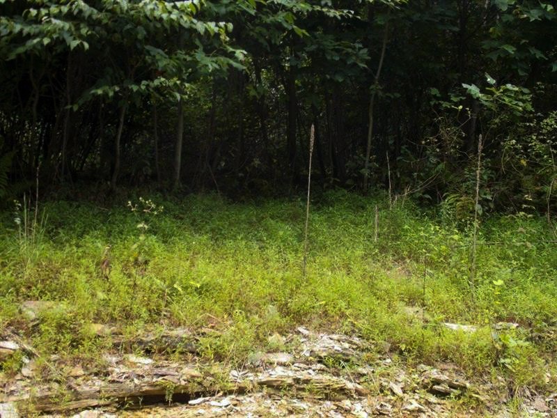 Lots 1&2 Brady's Landing — photo 3