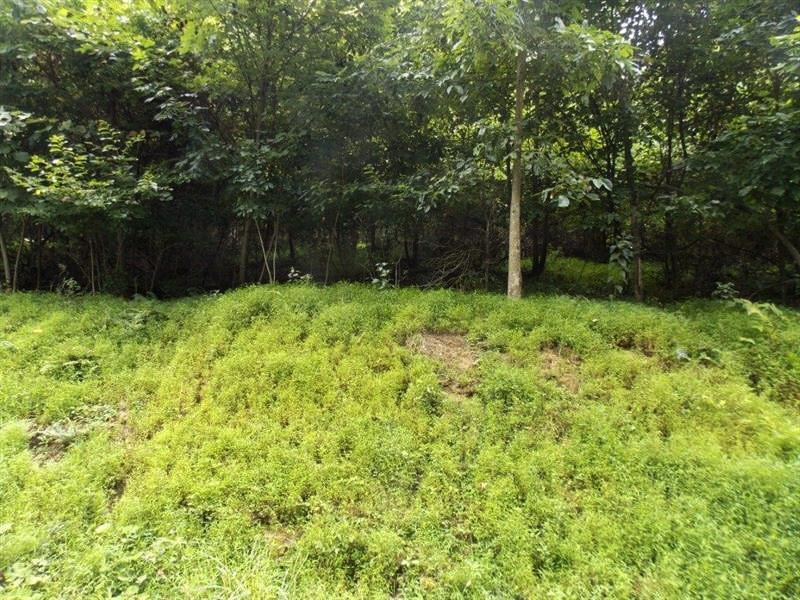 Lots 1&2 Brady's Landing — photo 4