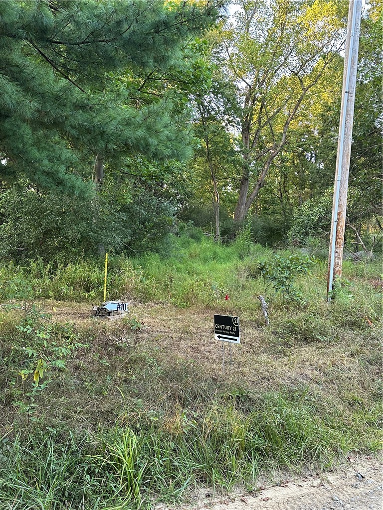 LOT 10 Sarah Furnace Rd — photo 4