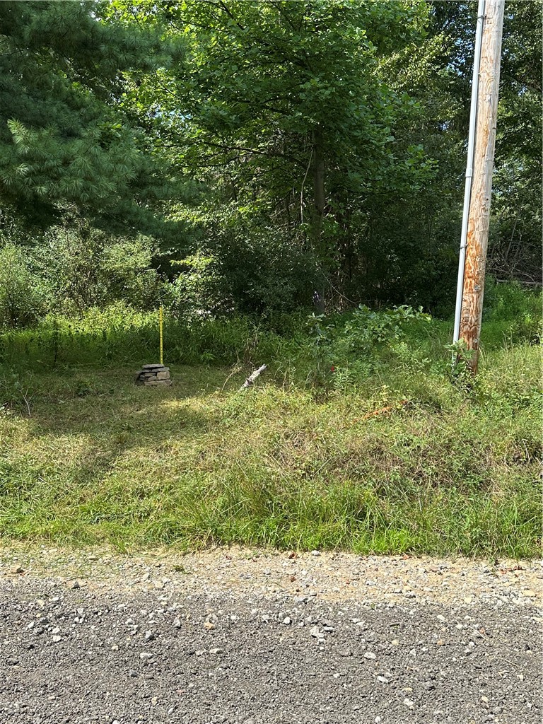 LOT 10 Sarah Furnace Rd — photo 5