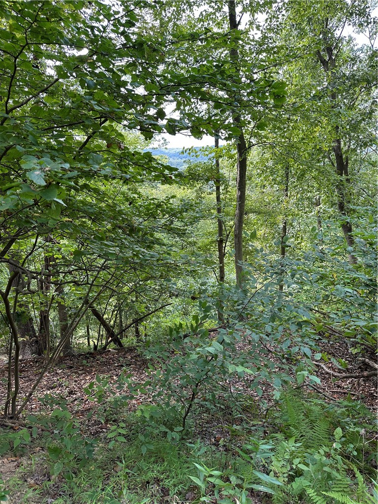 LOT 10 Sarah Furnace Rd — photo 6