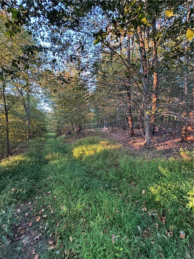 LOT 10 Sarah Furnace Rd — photo 8