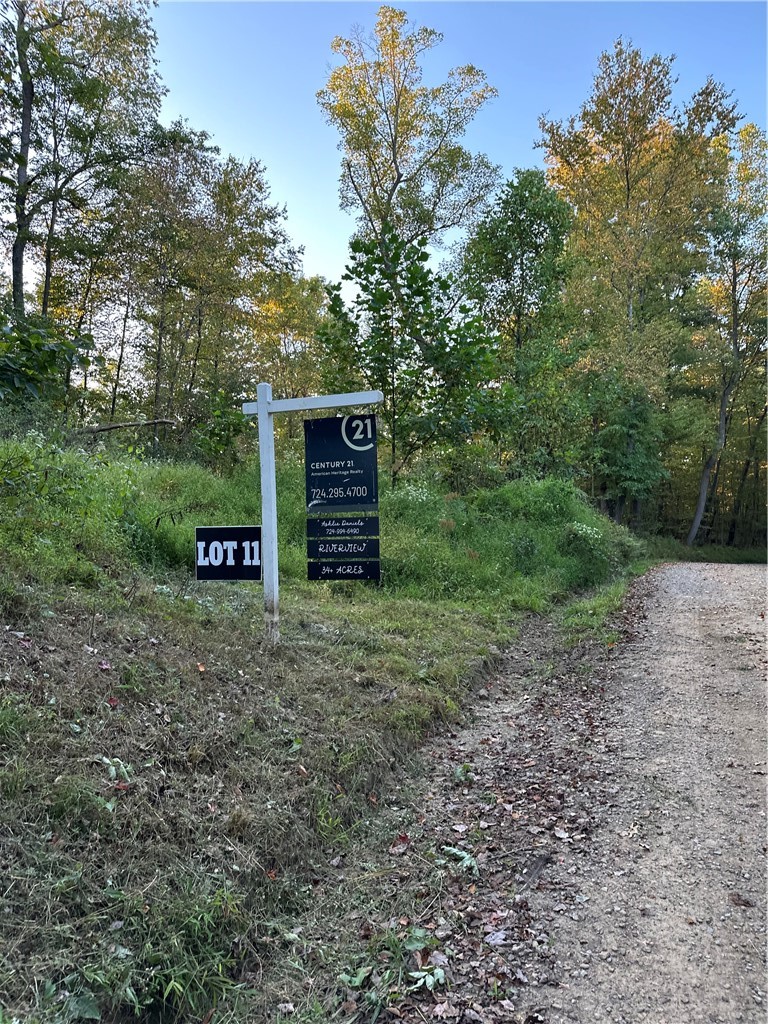 LOT 11 Sarah Furnace Rd — photo 3