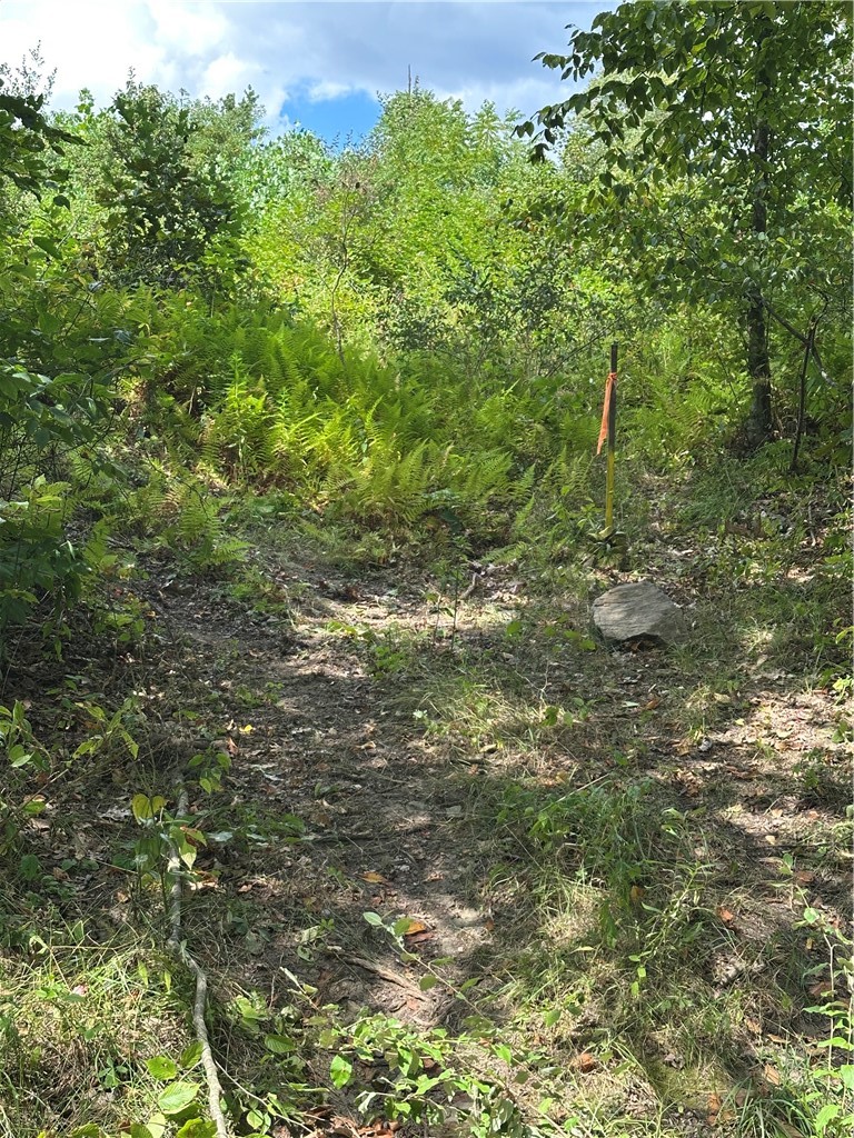LOT 11 Sarah Furnace Rd — photo 4