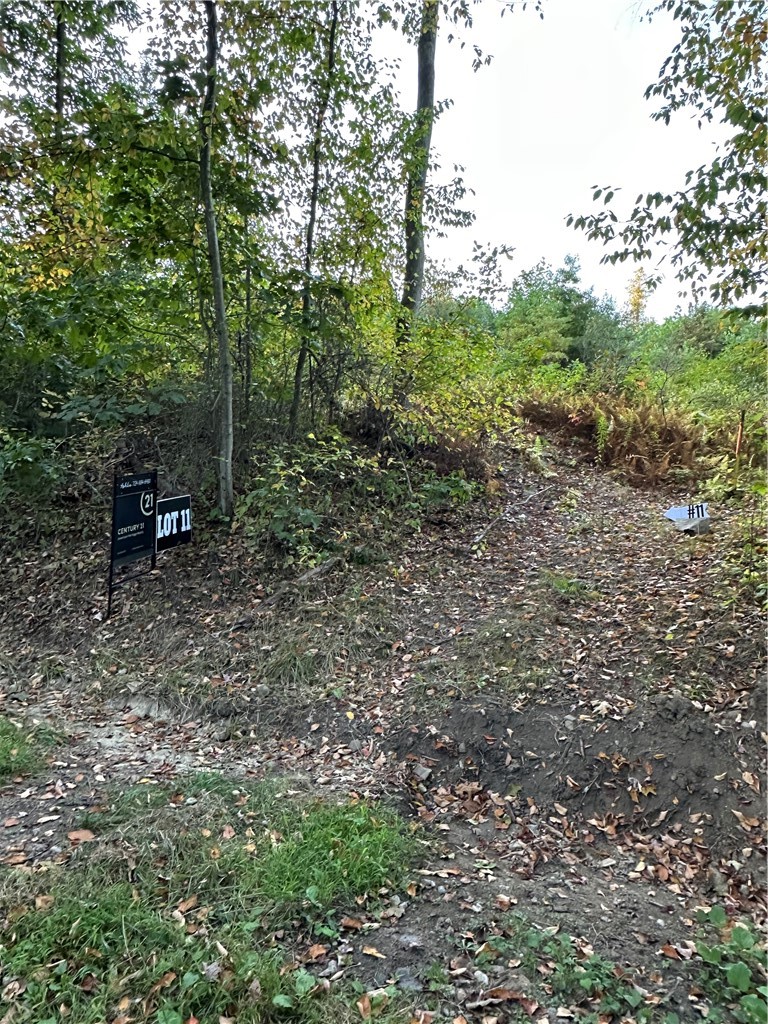 LOT 11 Sarah Furnace Rd — photo 5