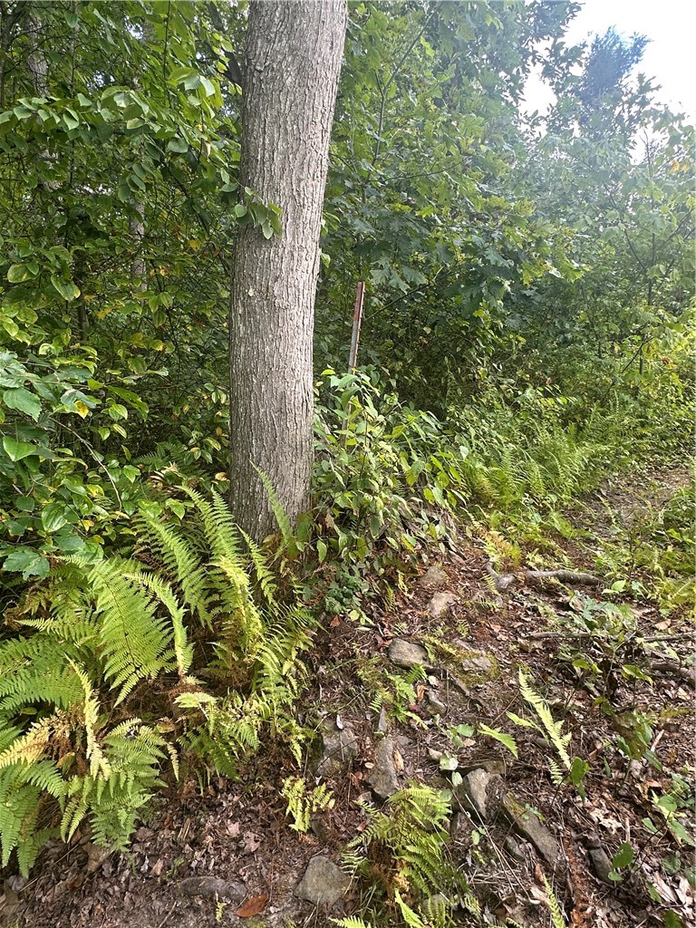 LOT 11 Sarah Furnace Rd — photo 6