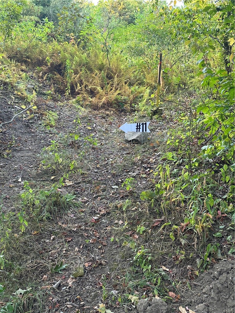 LOT 11 Sarah Furnace Rd — photo 7