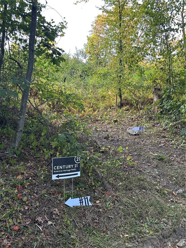 LOT 11 Sarah Furnace Rd — photo 8
