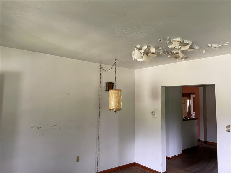 736 Patton Street Ext — photo 6