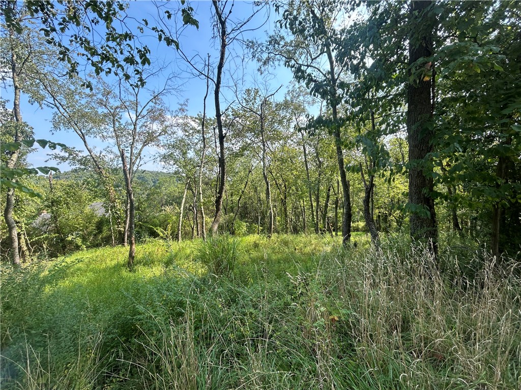 0 North Hills Road — photo 1