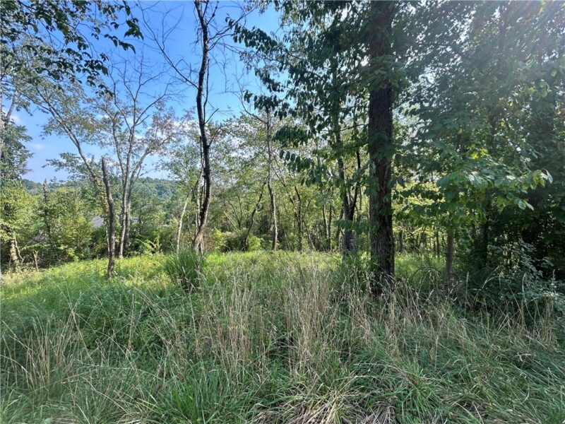 0 North Hills Road — photo 2