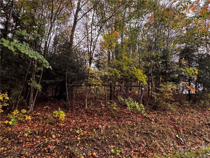 Lot 1 Dobbs Rd — photo 2