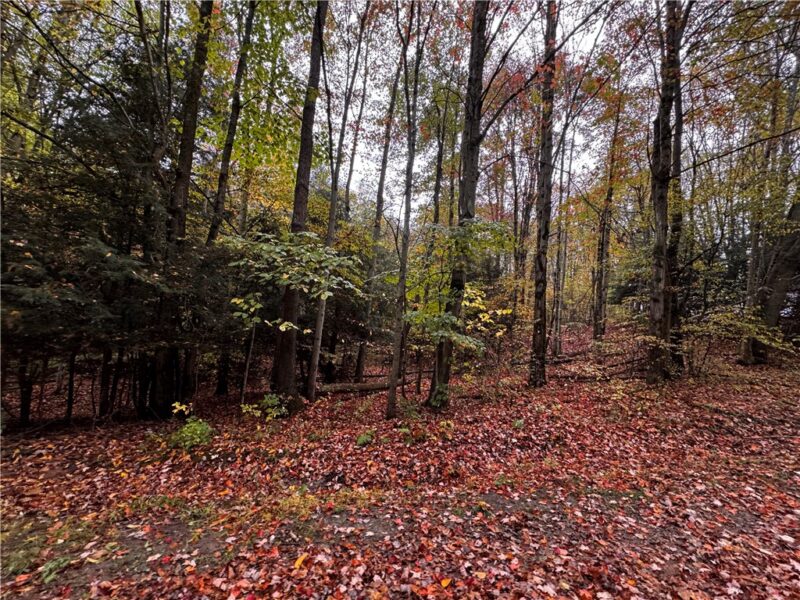 Lot 1 Dobbs Rd — photo 3