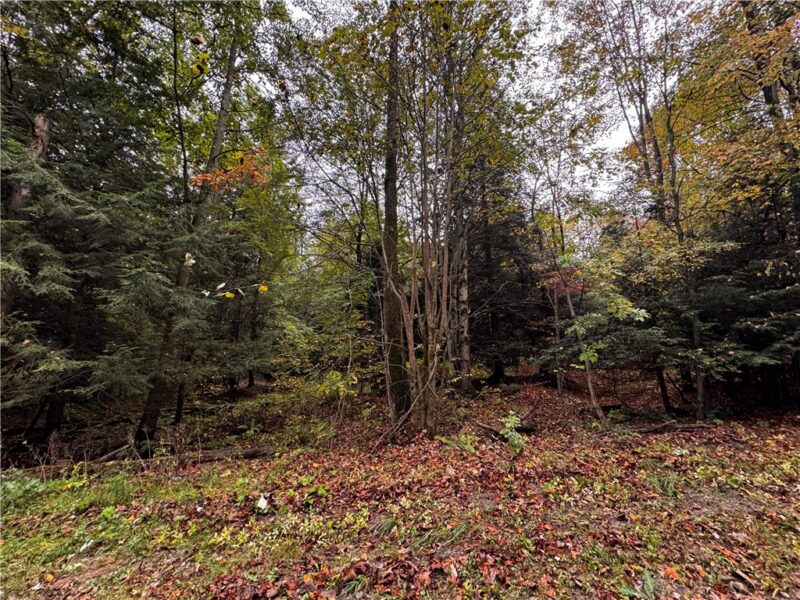 Lot 1 Dobbs Rd — photo 4