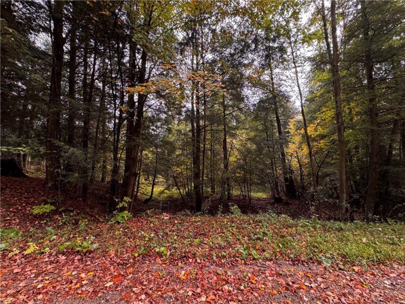 Lot 1 Dobbs Rd — photo 6