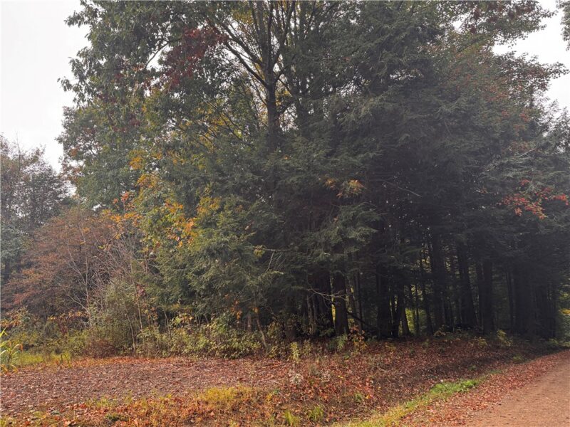Lot 1 Dobbs Rd — photo 8