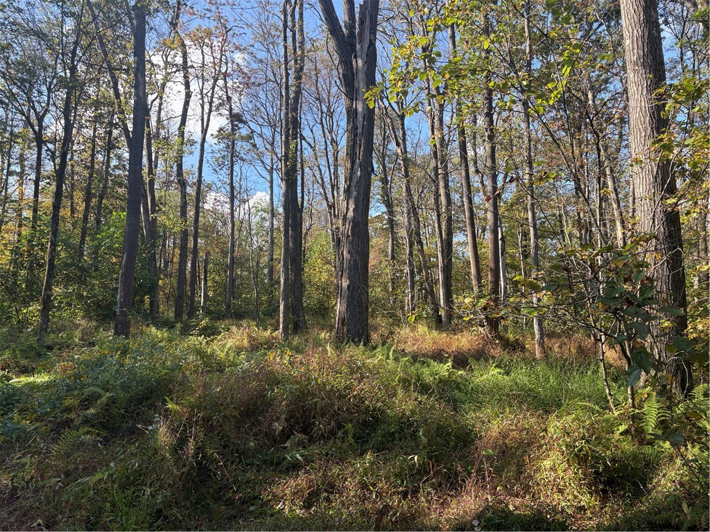 0000 County Line Rd — photo 1