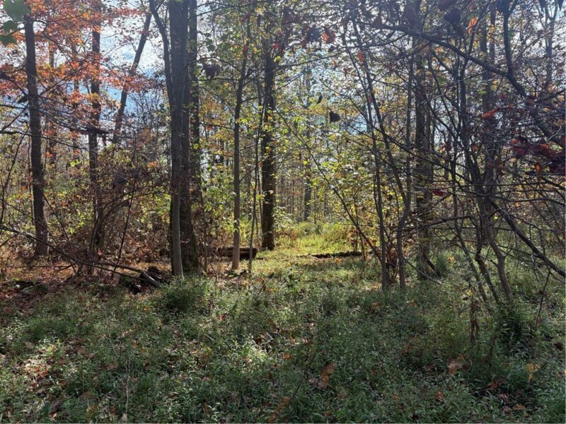 0000 County Line Rd — photo 6