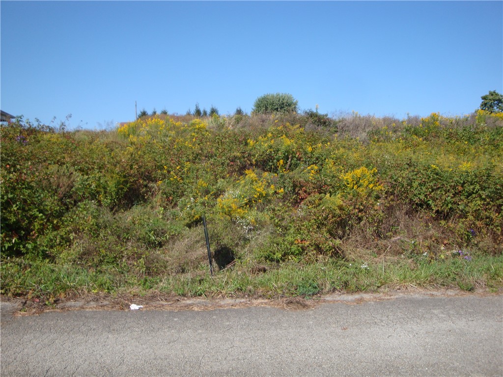 lot#3 Grandview Drive — photo 1