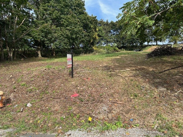 Lot # 3 Chamberlain — photo 1