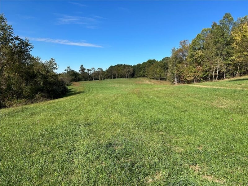0 NR US 119 — photo 2