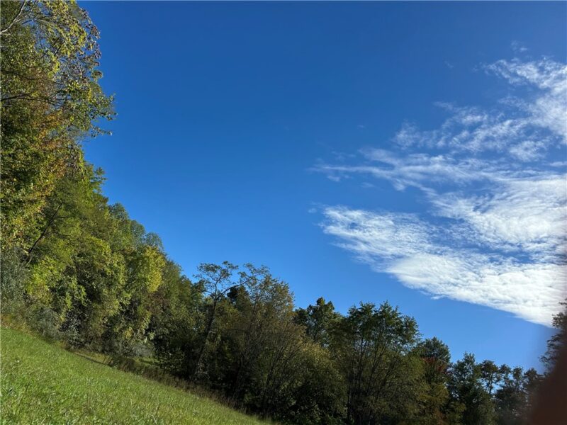 0 NR US 119 — photo 3