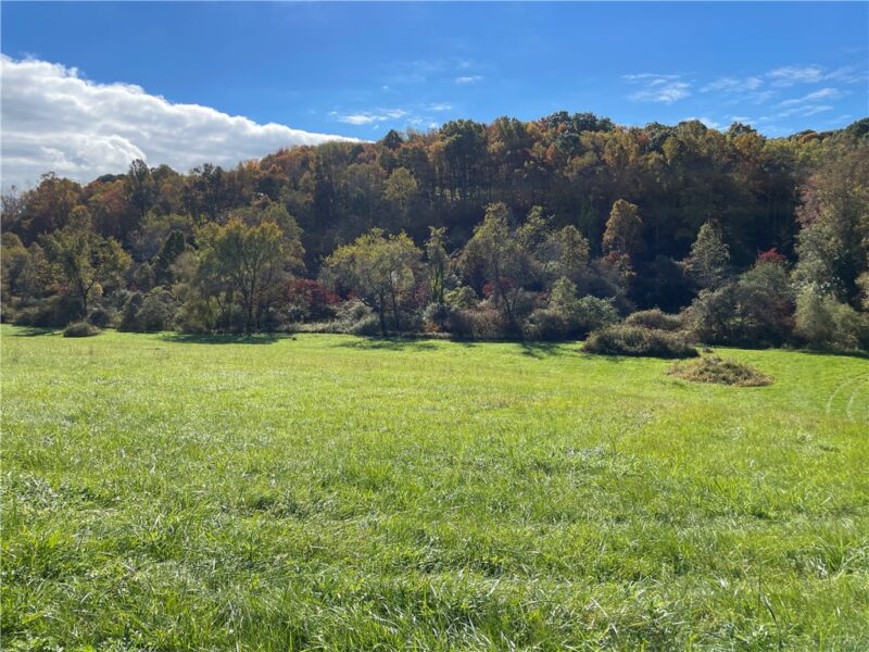 Lot 3 Shag Bark Grove / Mamont Road — photo 5
