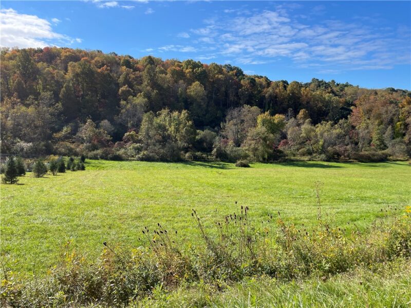 Lot 1 Shag Bark Grove / Mamont Road — photo 4