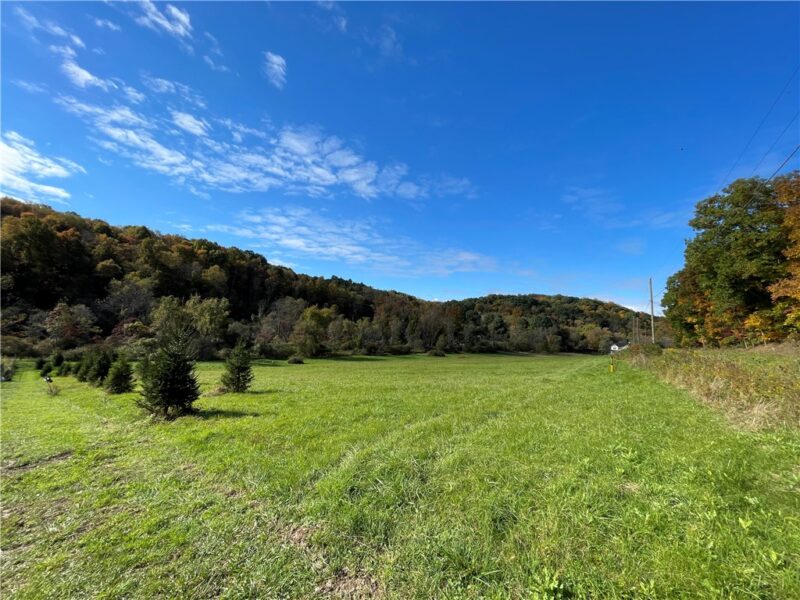 Lot 1 Shag Bark Grove / Mamont Road — photo 5