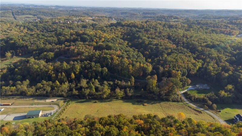 Lot 1 Shag Bark Grove / Mamont Road — photo 6