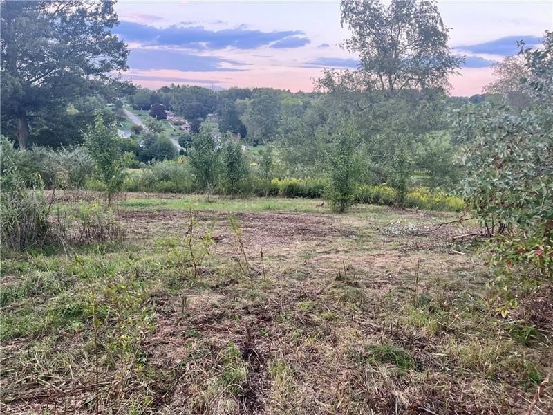 Lot #2 Saxonburg Road — photo 2