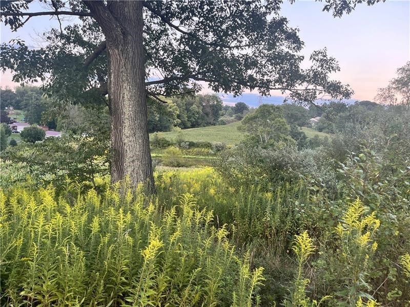 Lot #2 Saxonburg Road — photo 3