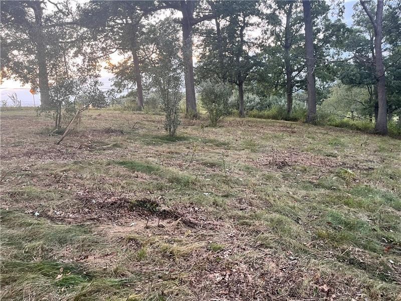 Lot #3 Saxonburg Road — photo 2