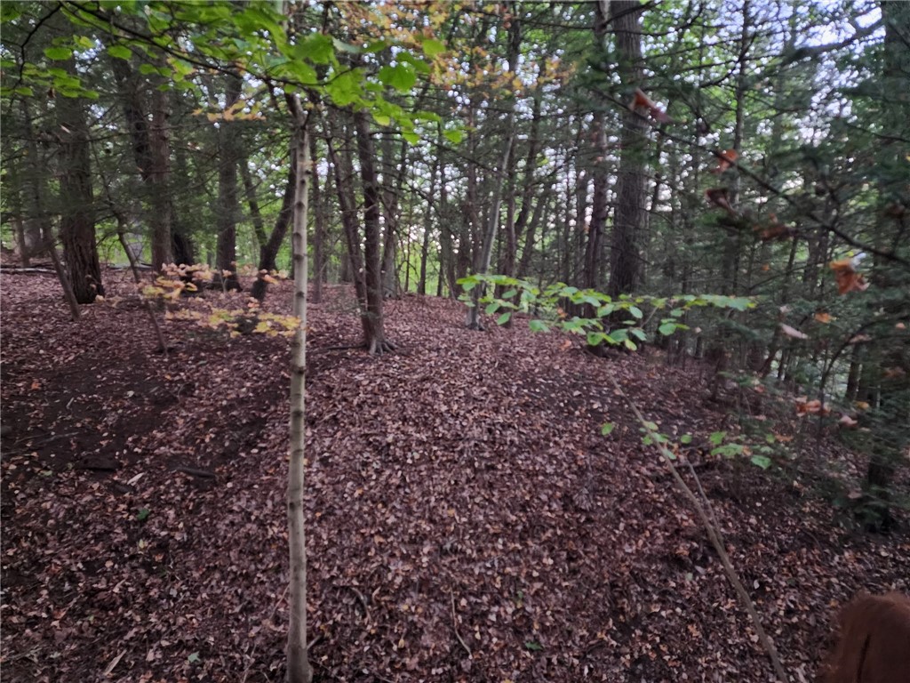 000 Barclay Hill Rd — photo 1