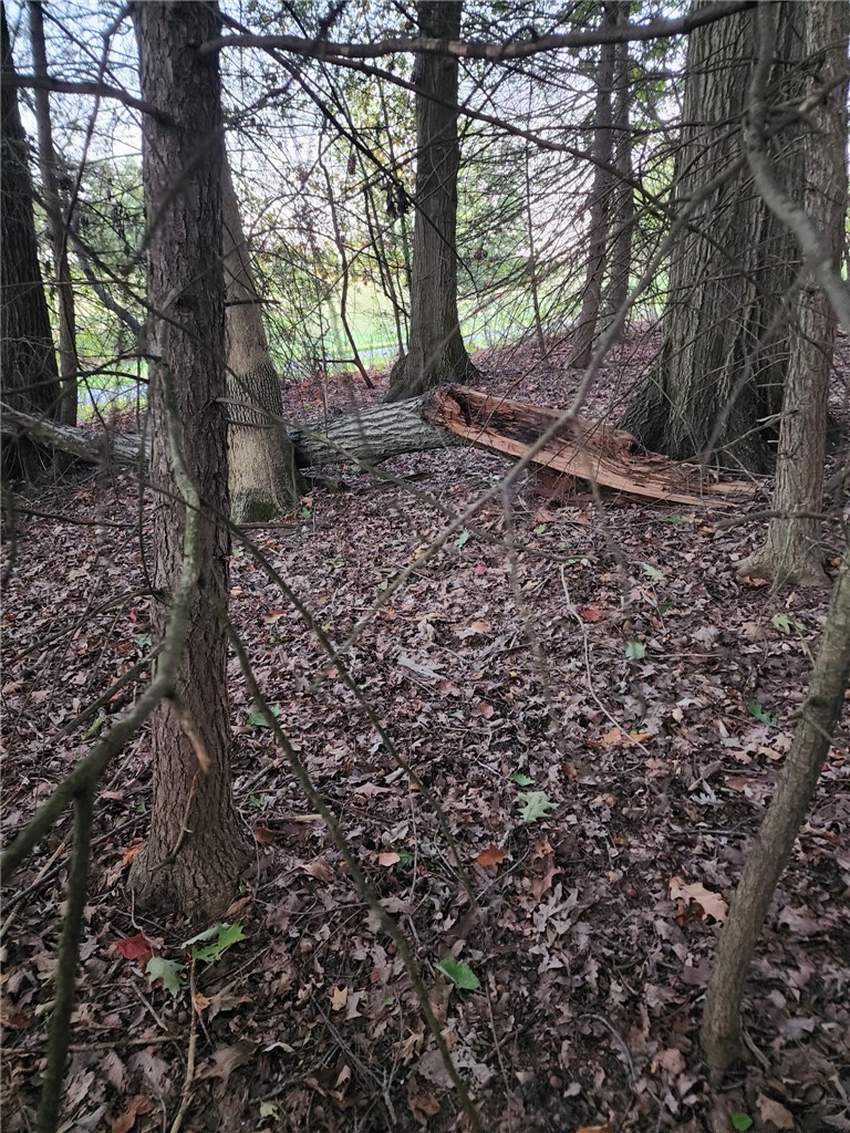 000 Barclay Hill Rd — photo 3